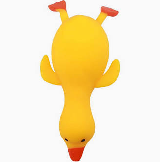 Squishy Duck