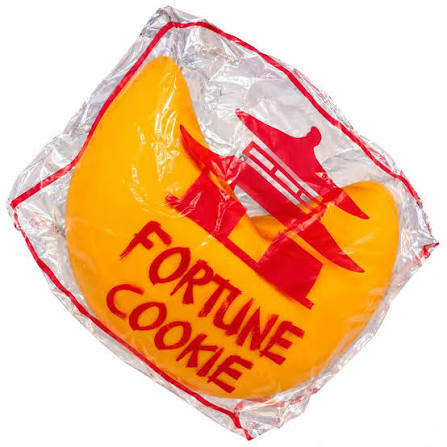 Big Squij Fortune Cookie Squishy